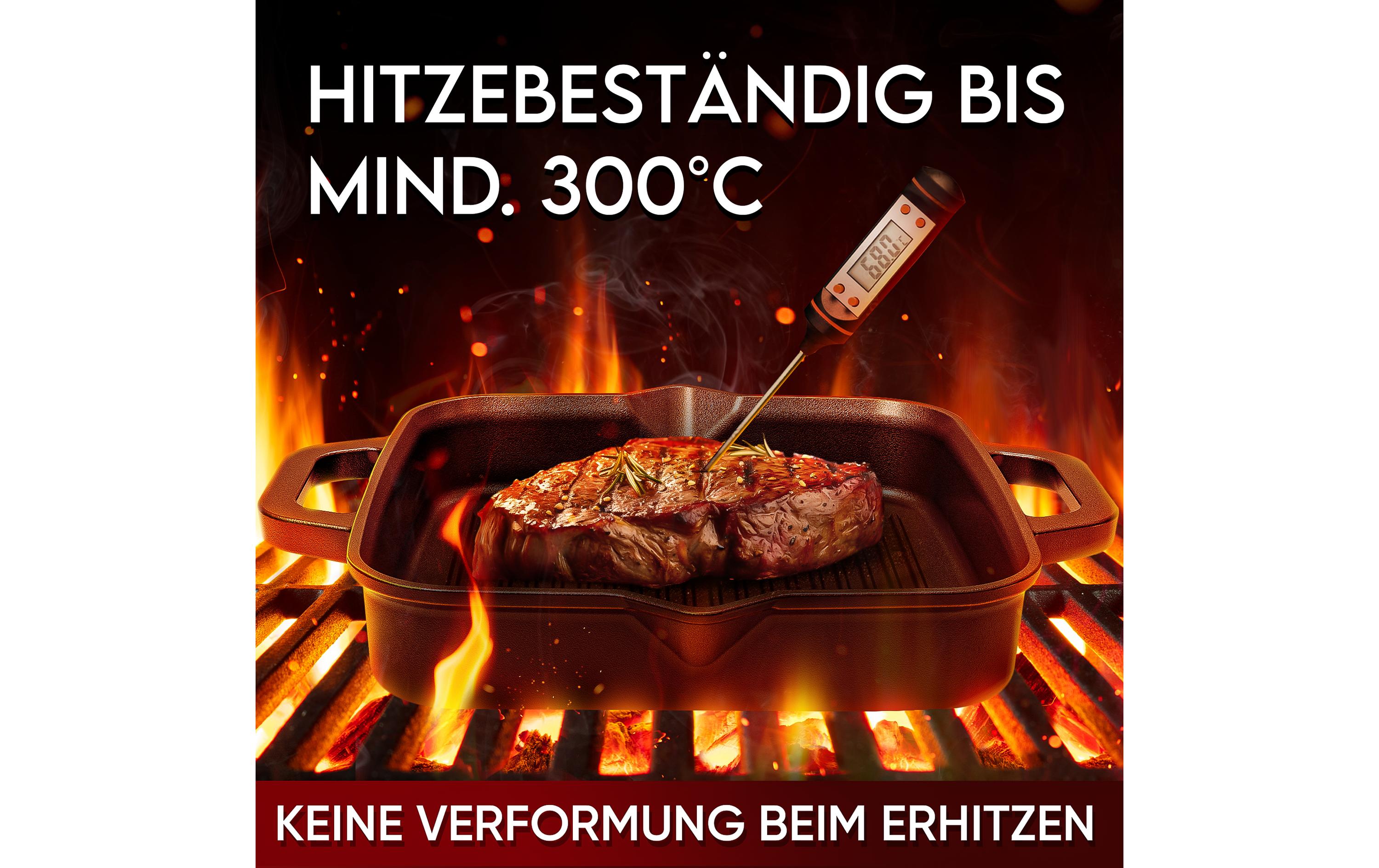 Gusskoenig Grillpfanne 26 cm mit Ringreiniger