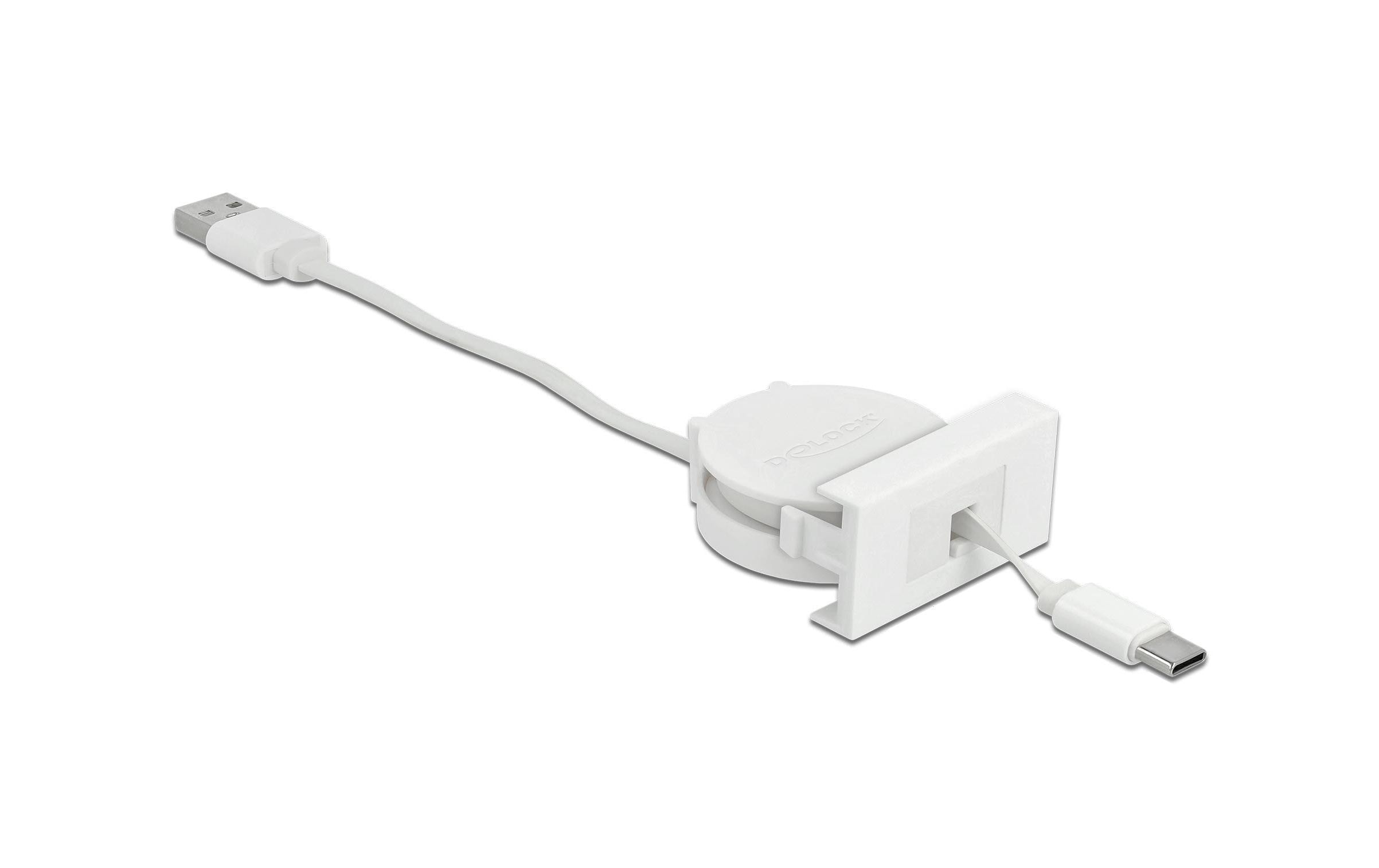 Delock Easy 45 Modul USB 2.0 Ausrollkabel USB Typ-A zu USB Type-C Delock Easy 45 Modul USB 2.0 Ausrollkabel USB Typ-A zu USB Type-C