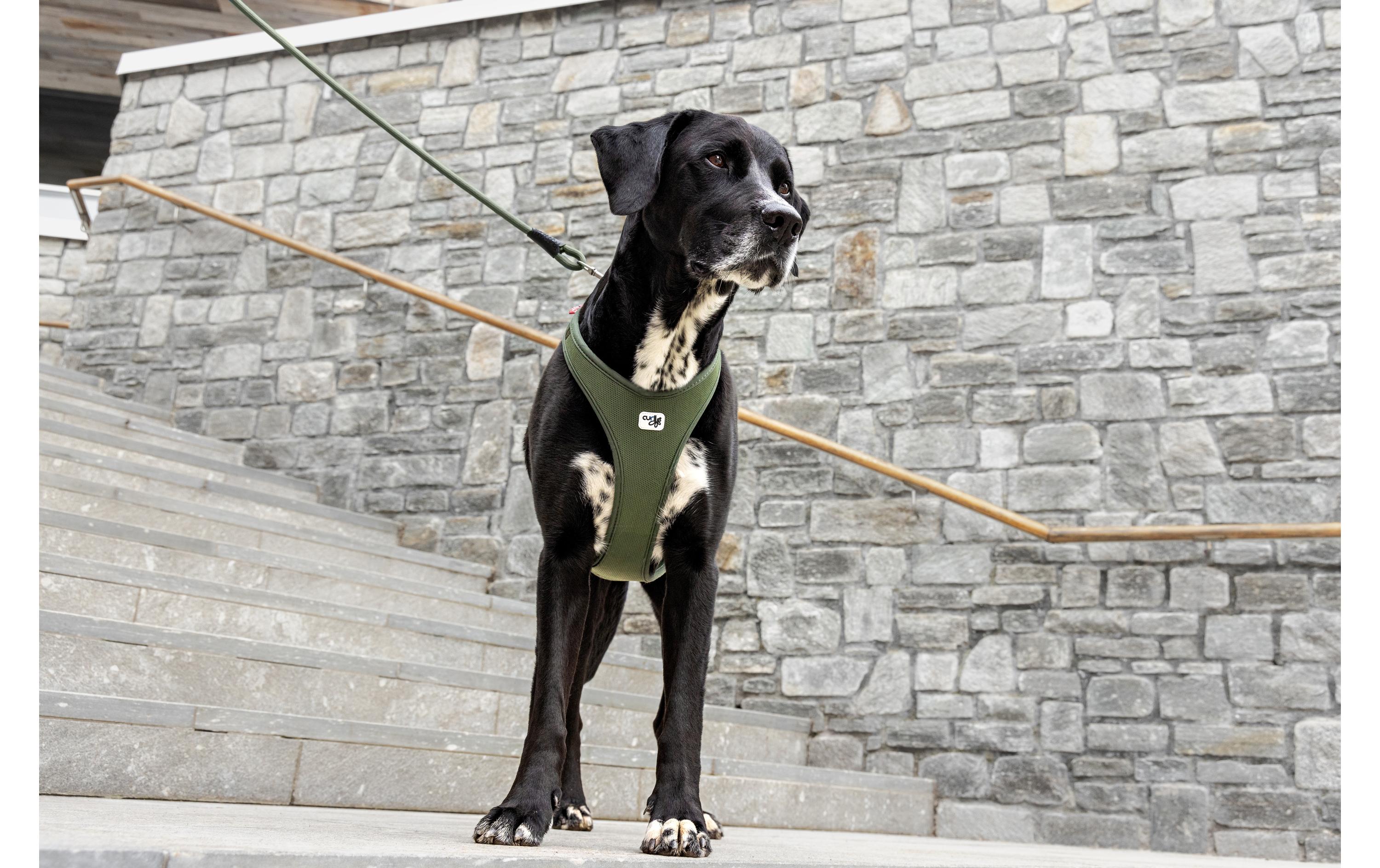 curli Belka Air-Mesh Grün, 3XL curli Belka Air-Mesh Grün, 3XL