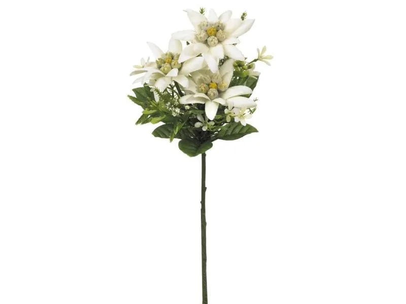 Botanic-Haus Kunstblume Edelweiss, 22 cm, 3er Set