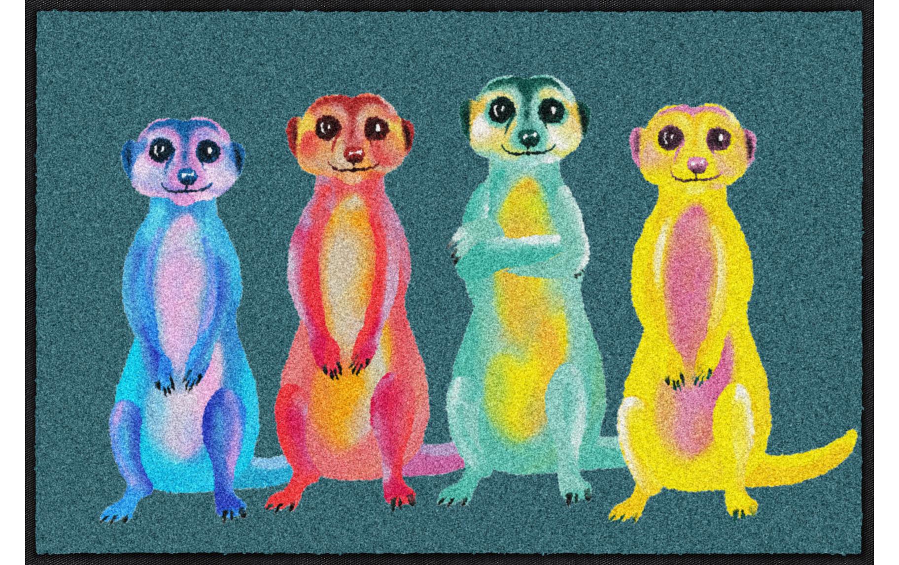 Salonlöwe Fussmatte Rainbow Meerkats 50 cm x 75 cm