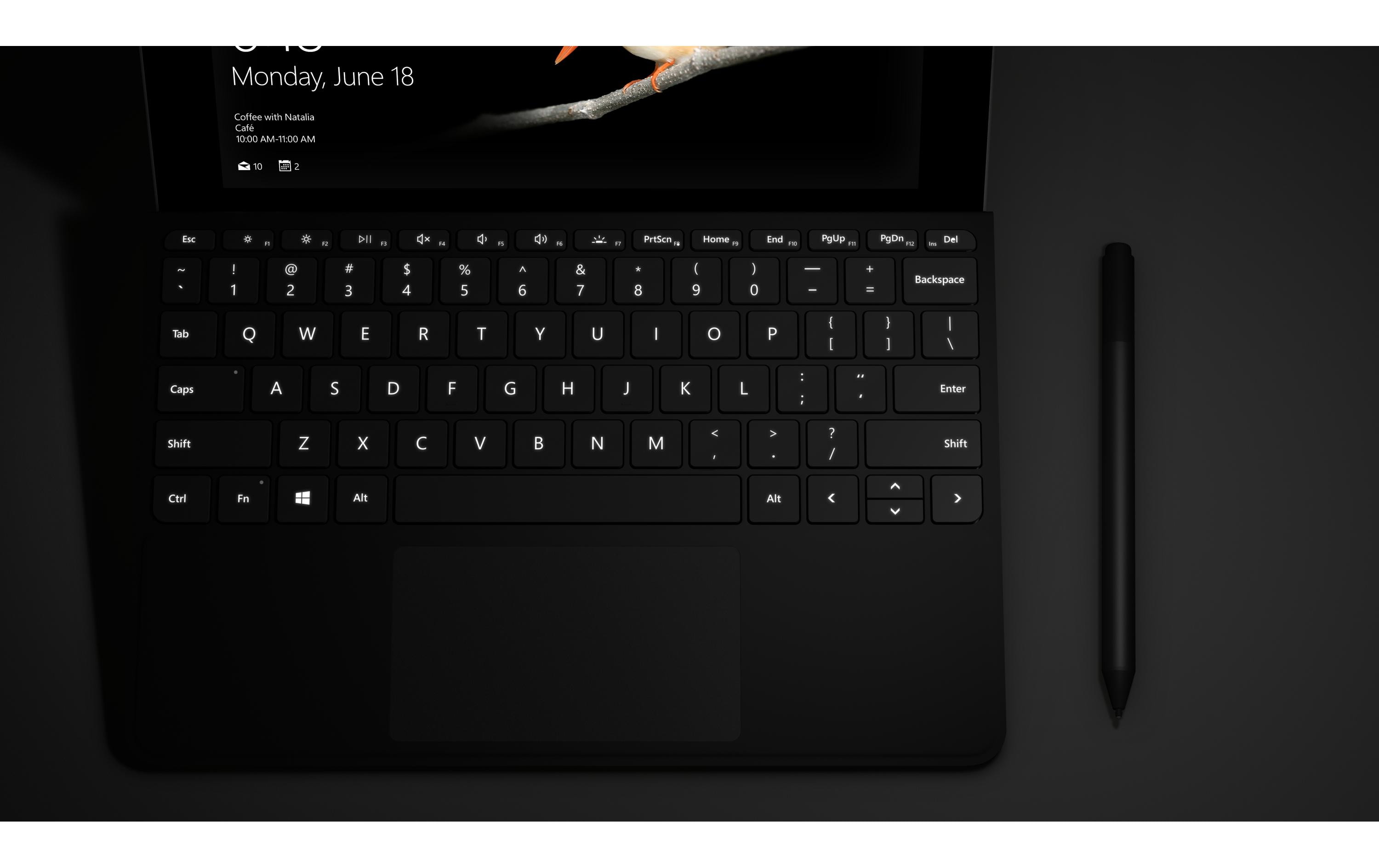 Microsoft Surface Go Type Cover
