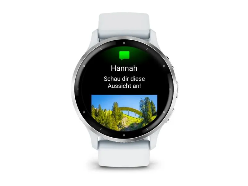 GARMIN Sportuhr Venu 3 Steinweiss / Silber GARMIN Sportuhr Venu 3 Steinweiss / Silber
