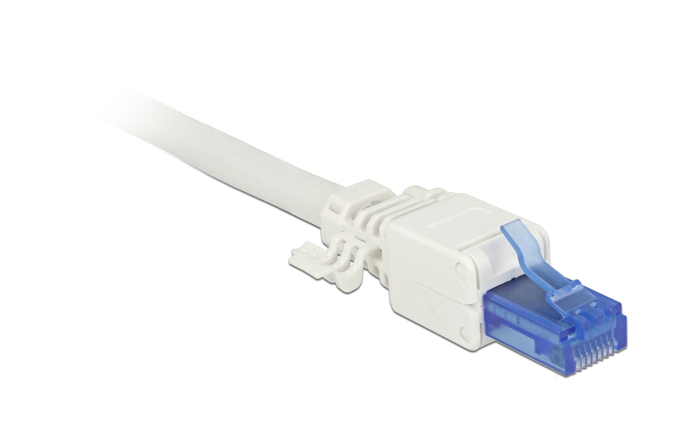 Delock Stecker RJ45 Cat.6A UTP werkzeugfrei, 2 Stück Delock Stecker RJ45 Cat.6A UTP werkzeugfrei, 2 Stück