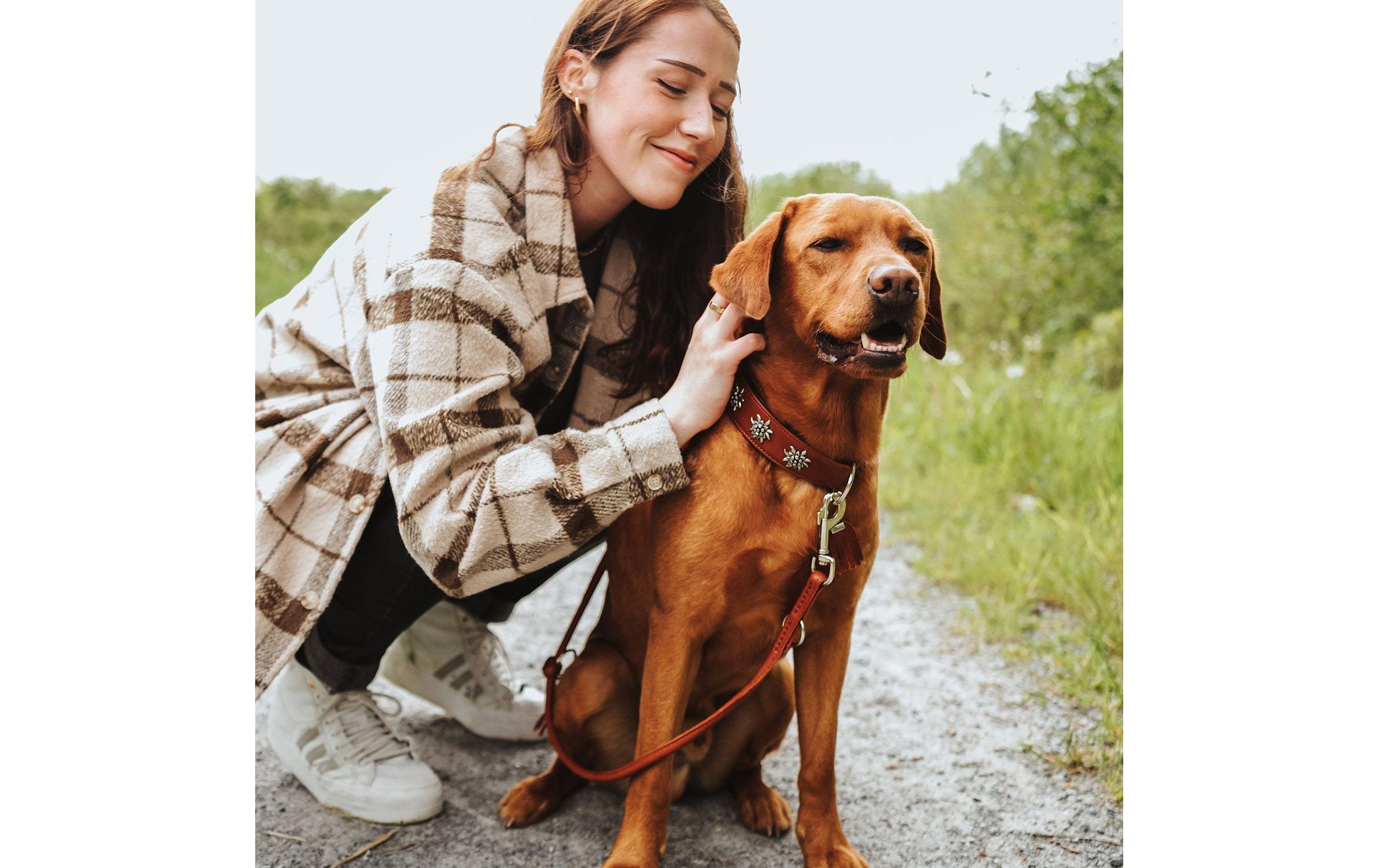 Hunter Halsband München 65/L, Rindsleder, Cognac/Schwarz
