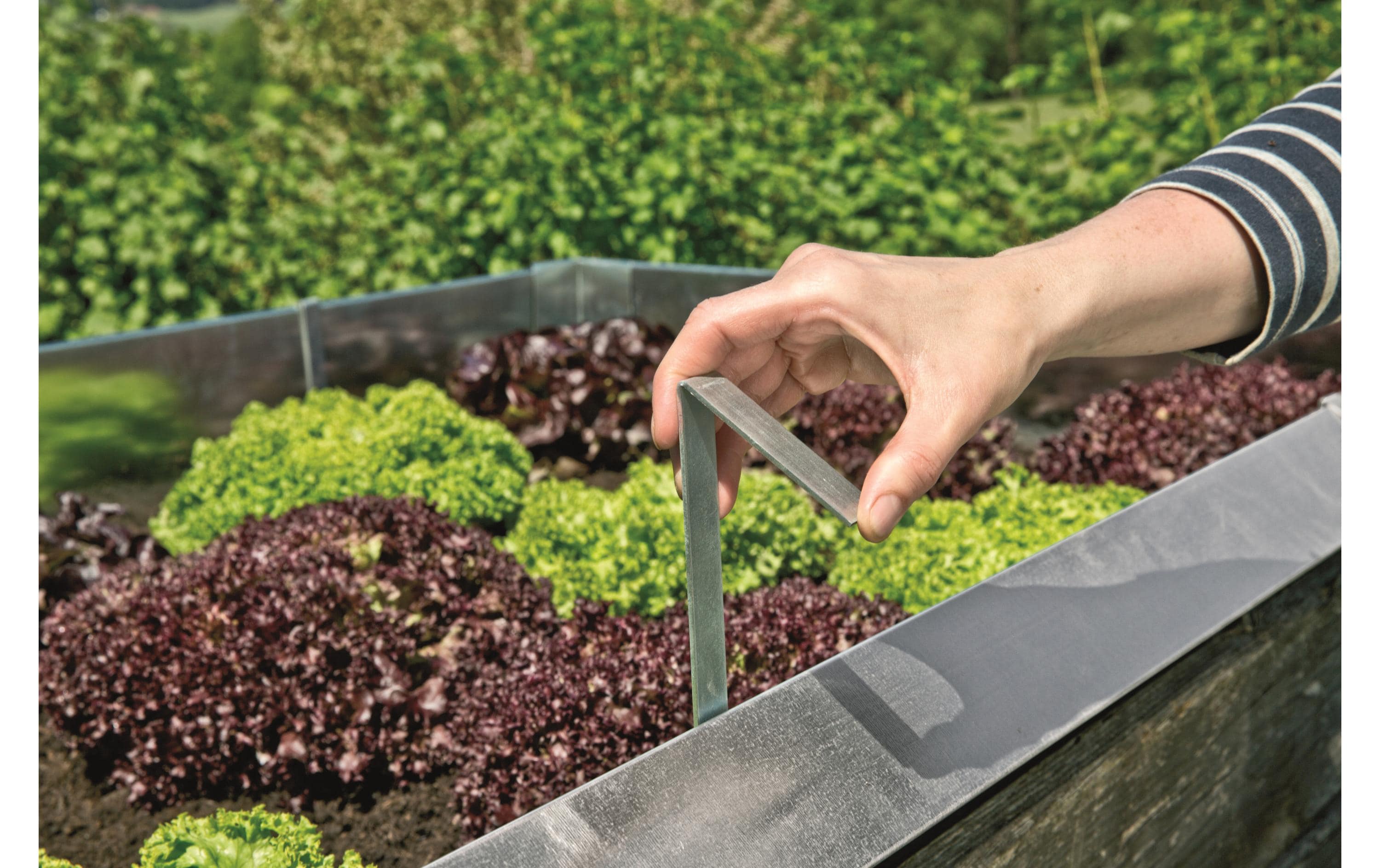 Windhager Schneckenzaun Befestigungsklammer Windhager Schneckenzaun Befestigungsklammer