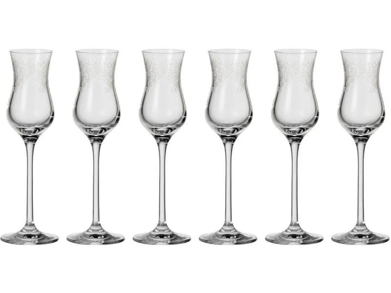 Leonardo Grappaglas Chateau 90 ml, 6 Stück, Transparent Leonardo Grappaglas Chateau 90 ml, 6 Stück, Transparent