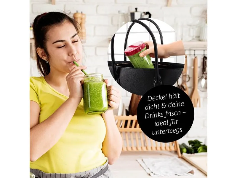 GOURMETmaxx Smoothie Maker Mr. Magic Rot/Silber