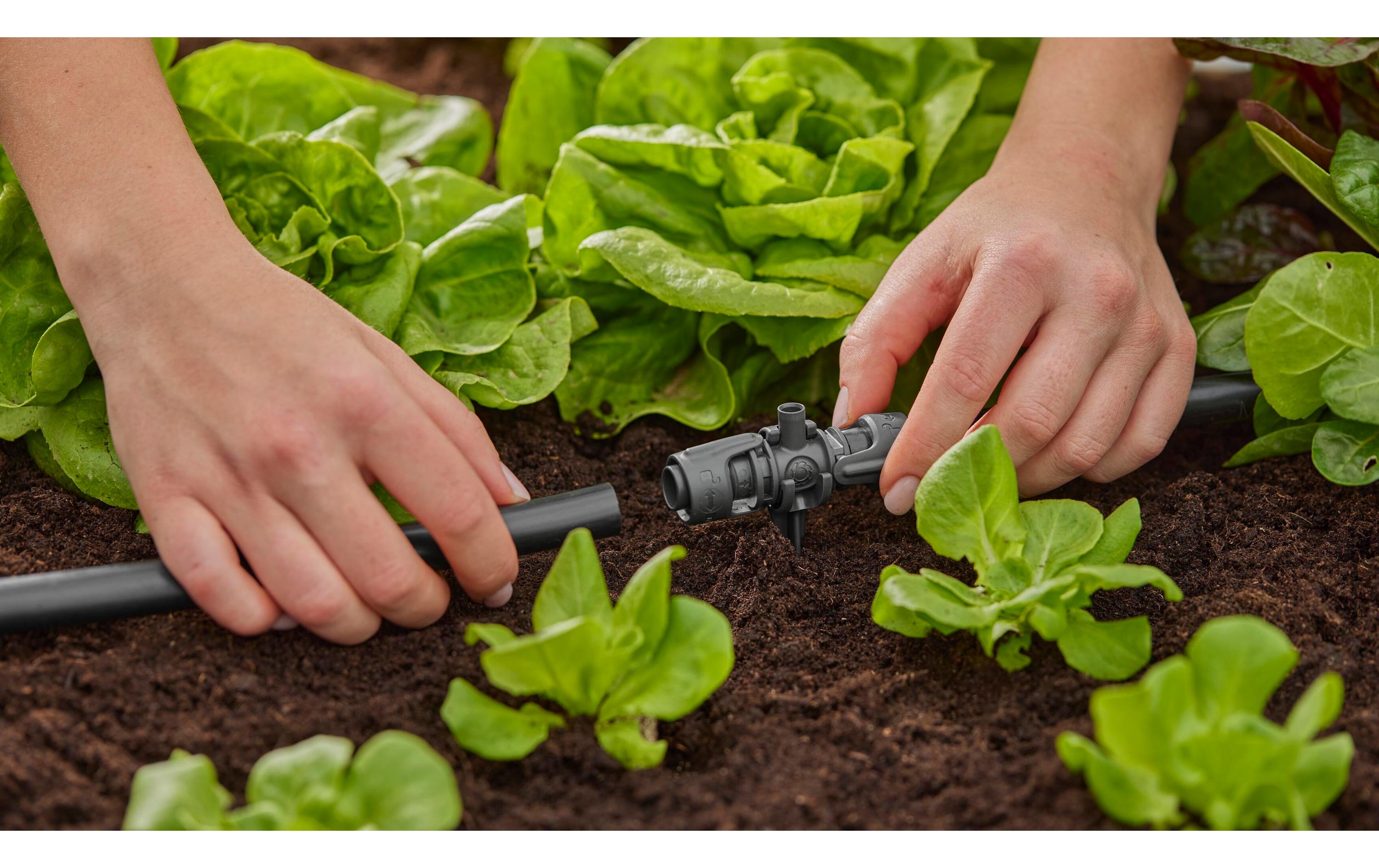 GARDENA T-Stück für Sprühdüsen Micro-Drip-System 13 mm(1/2) 5 Stück