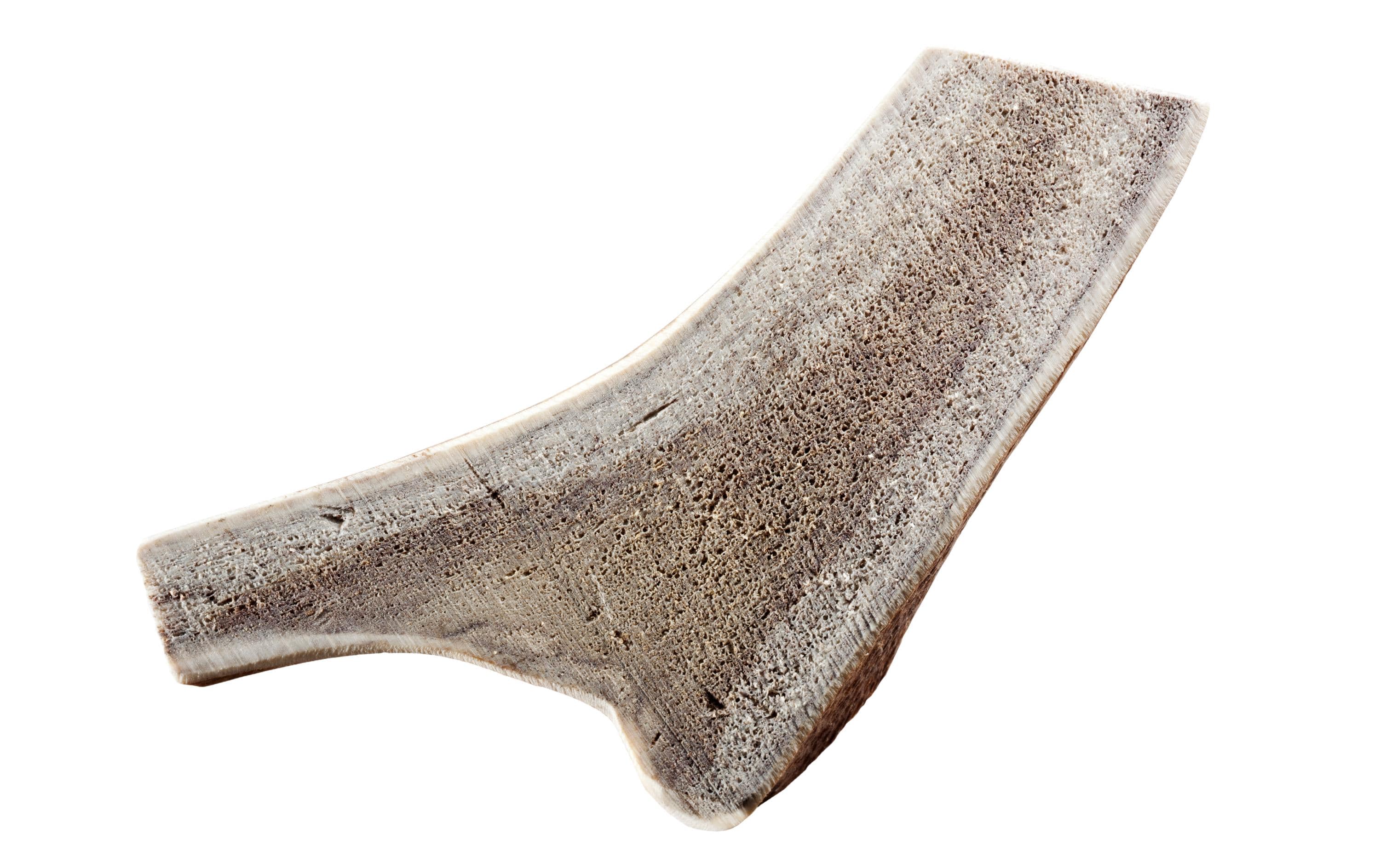 Chewies Rothirsch-Geweihstange XL halb