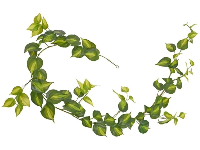 Botanic-Haus Kunstpflanze Philodendron Scandens Brasil Grün, 180 cm Botanic-Haus Kunstpflanze Philodendron Scandens Brasil Grün, 180 cm