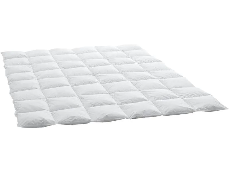 Swiss Dream by Billerbeck Duvet Caro Light 160 x 210 cm Swiss Dream by Billerbeck Duvet Caro Light 160 x 210 cm