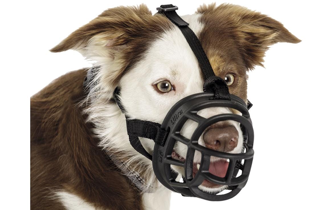 Baskerville Maulkorb Ultra Muzzle Gr. 5