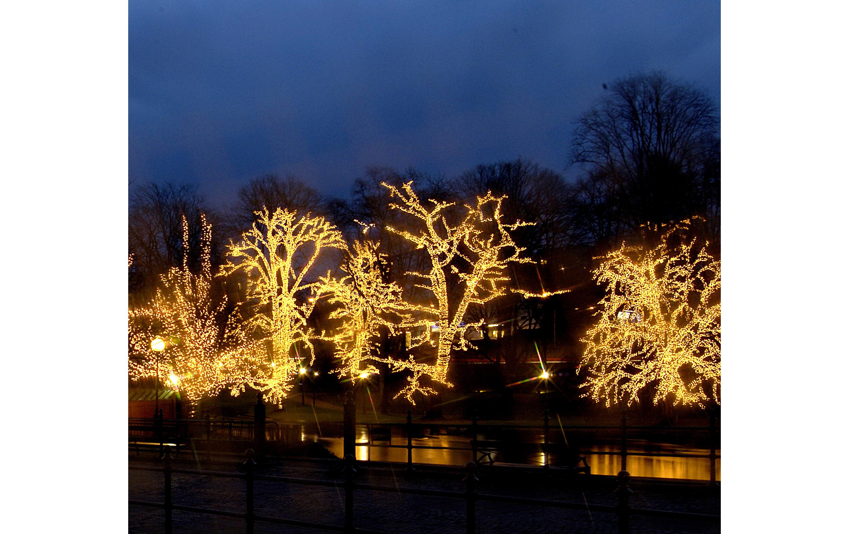 Star Trading System LED Extra, Schwarz / Warmweiss, 100 x 200 cm