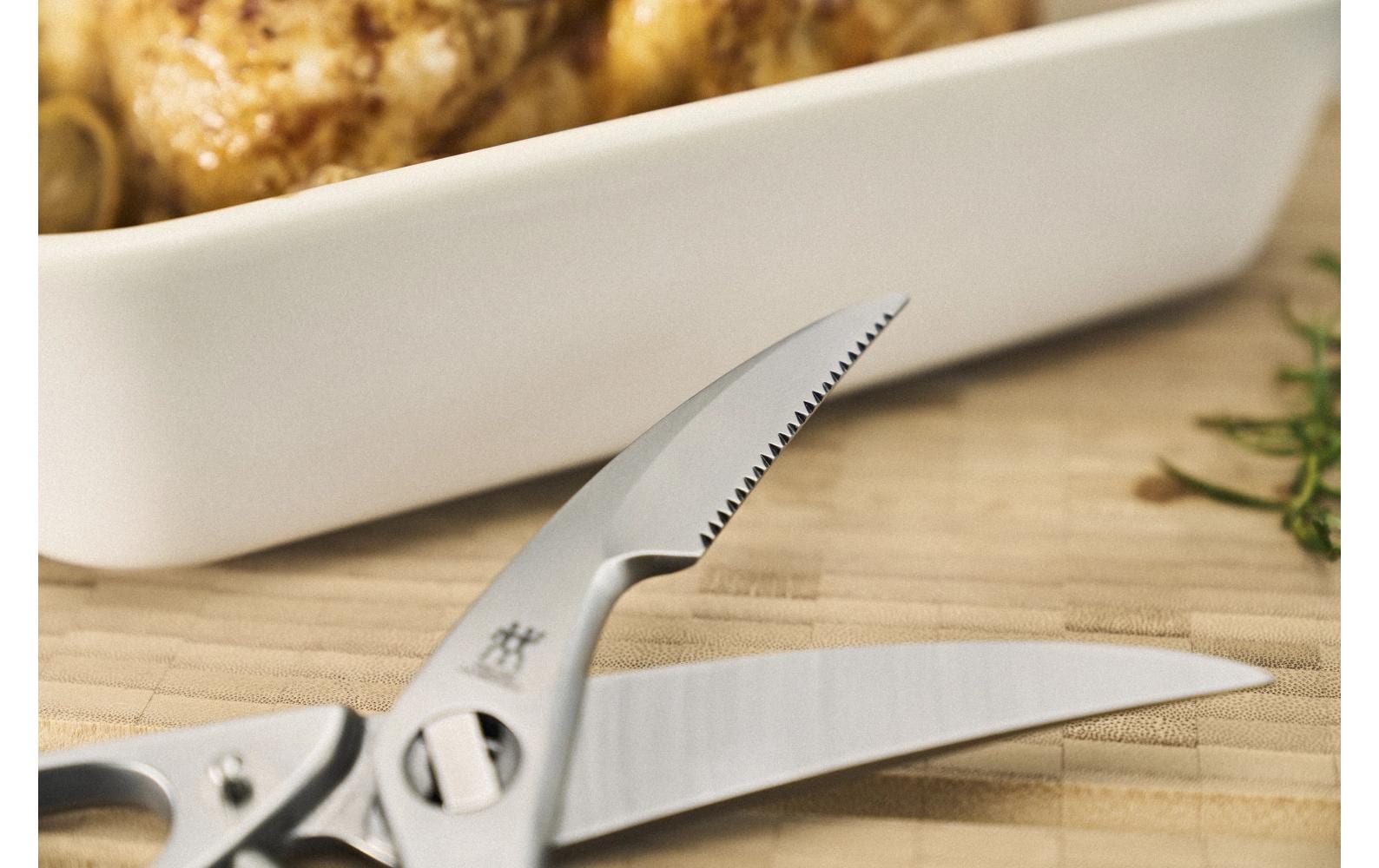 Zwilling Geflügelschere mit Aushebenagel Edelstahl