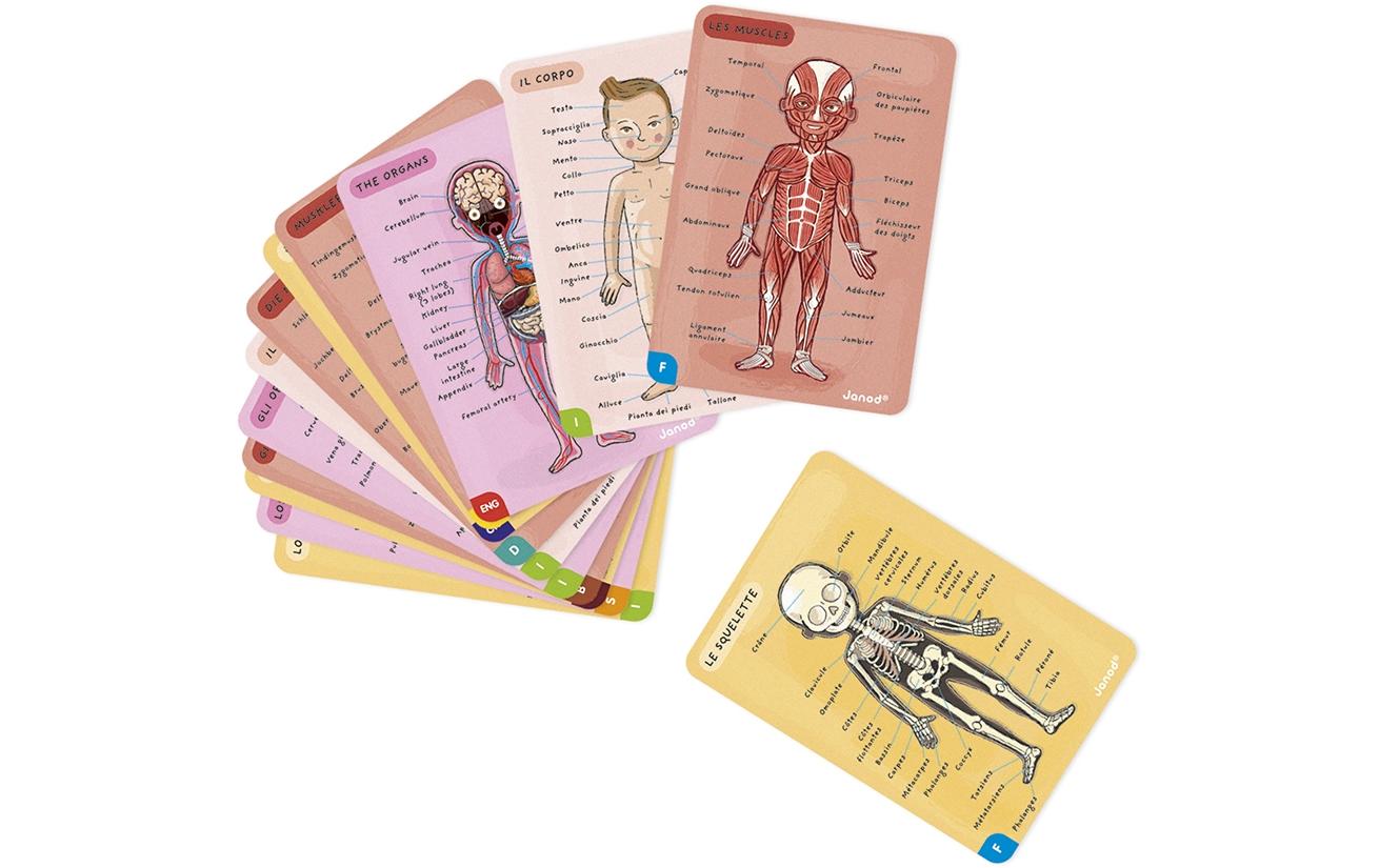 Janod Kinderspiel Magnetspiel Körper