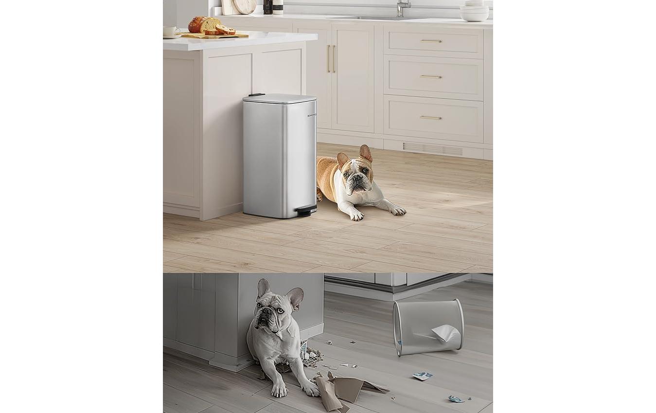 Songmics Abfalleimer 20 l, Silber