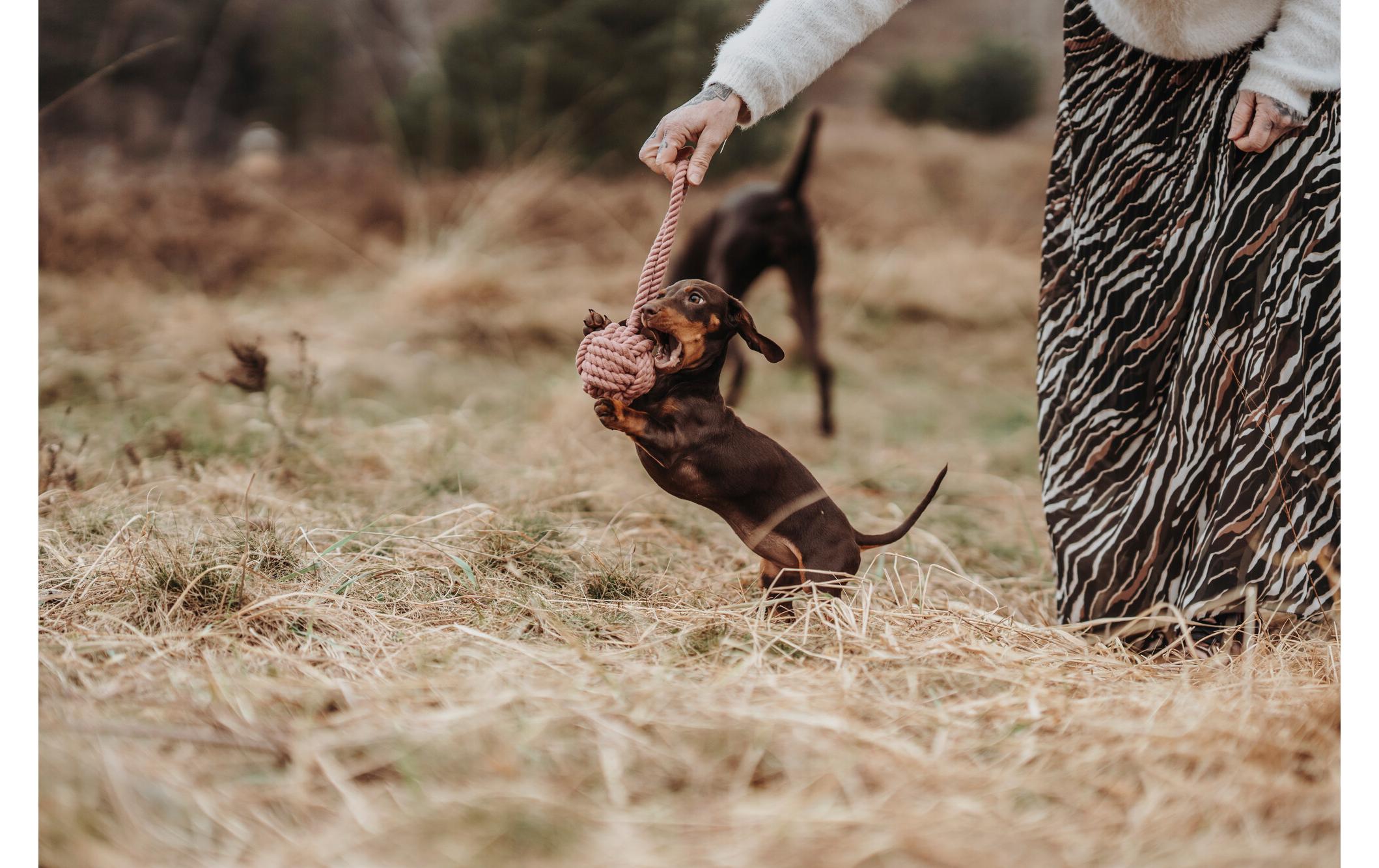 Hunter Hunde-Spielzeug Inari S, Ø 6 cm, Pastellrot