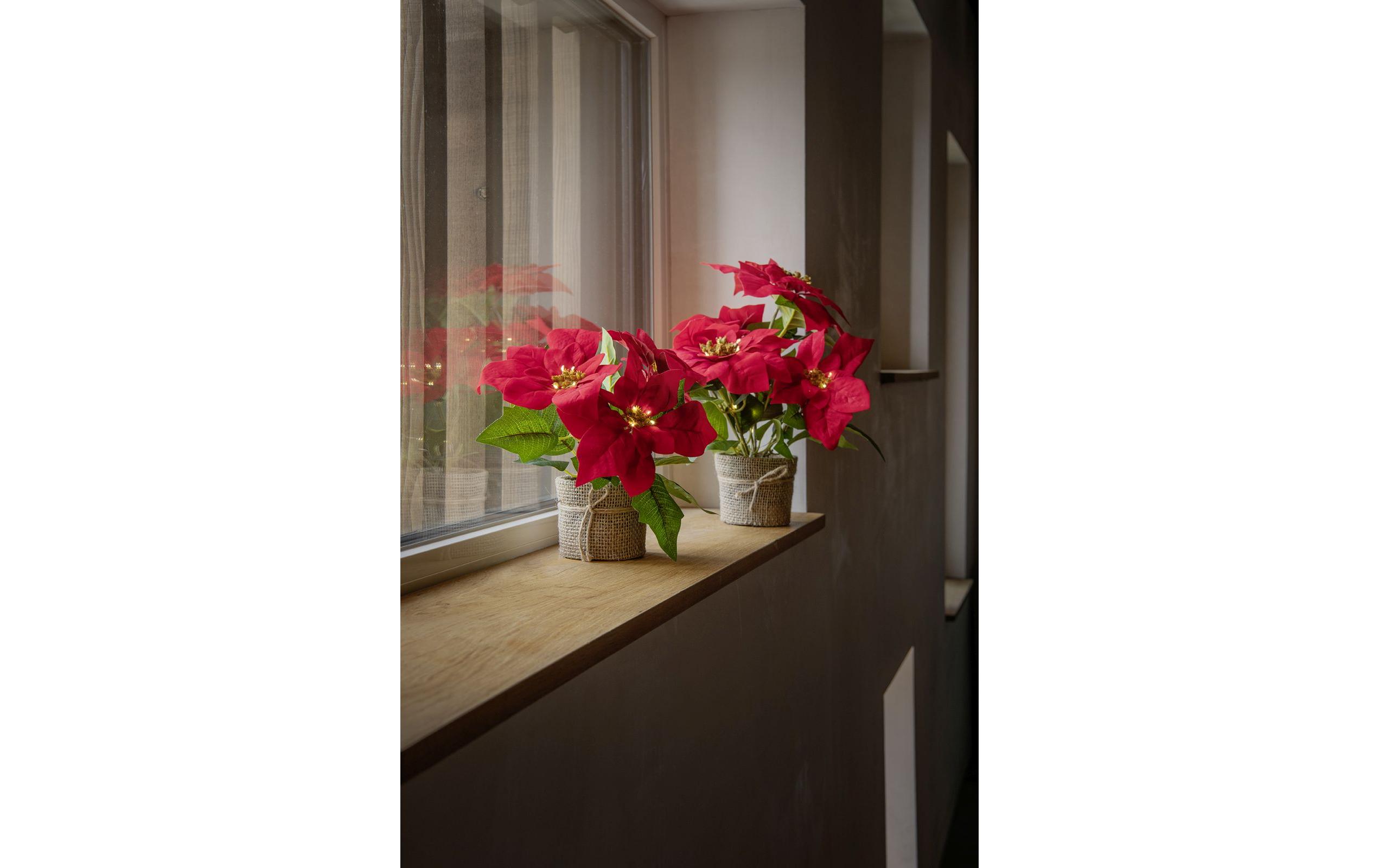 STT Poinsettia 33 cm STT Poinsettia 33 cm