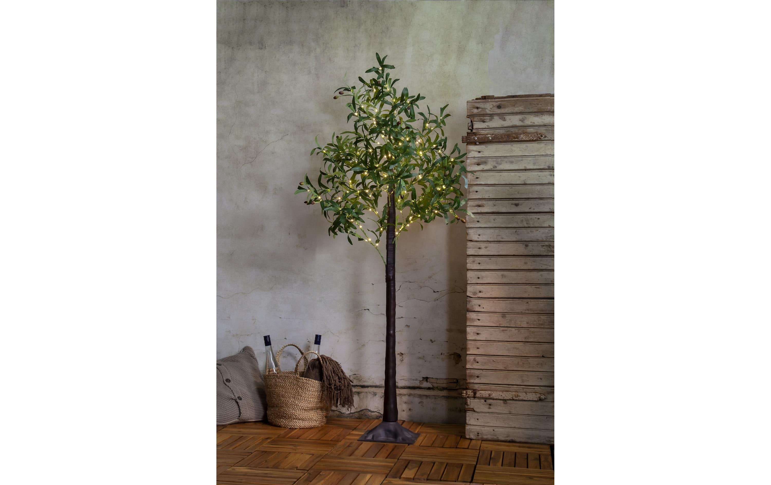 Star Trading Dekorationsbaum Olivec, 178 LEDs, 180 cm, Grün