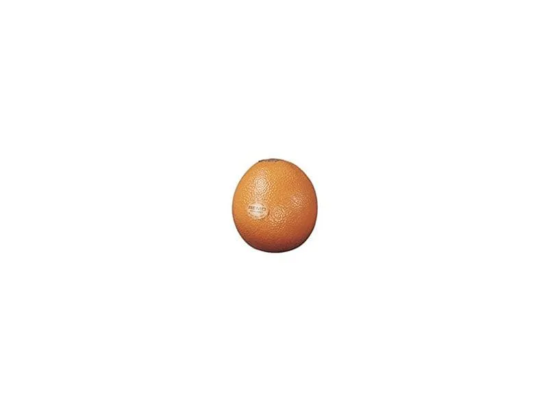Remo Fruit Shaker Orange