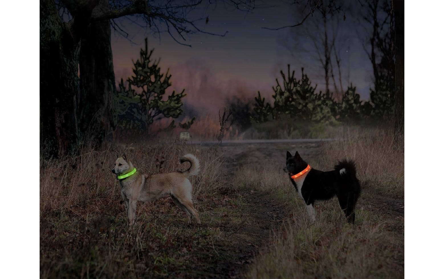 Karlie Leuchtring Visio Light LED Langhaar, gelb