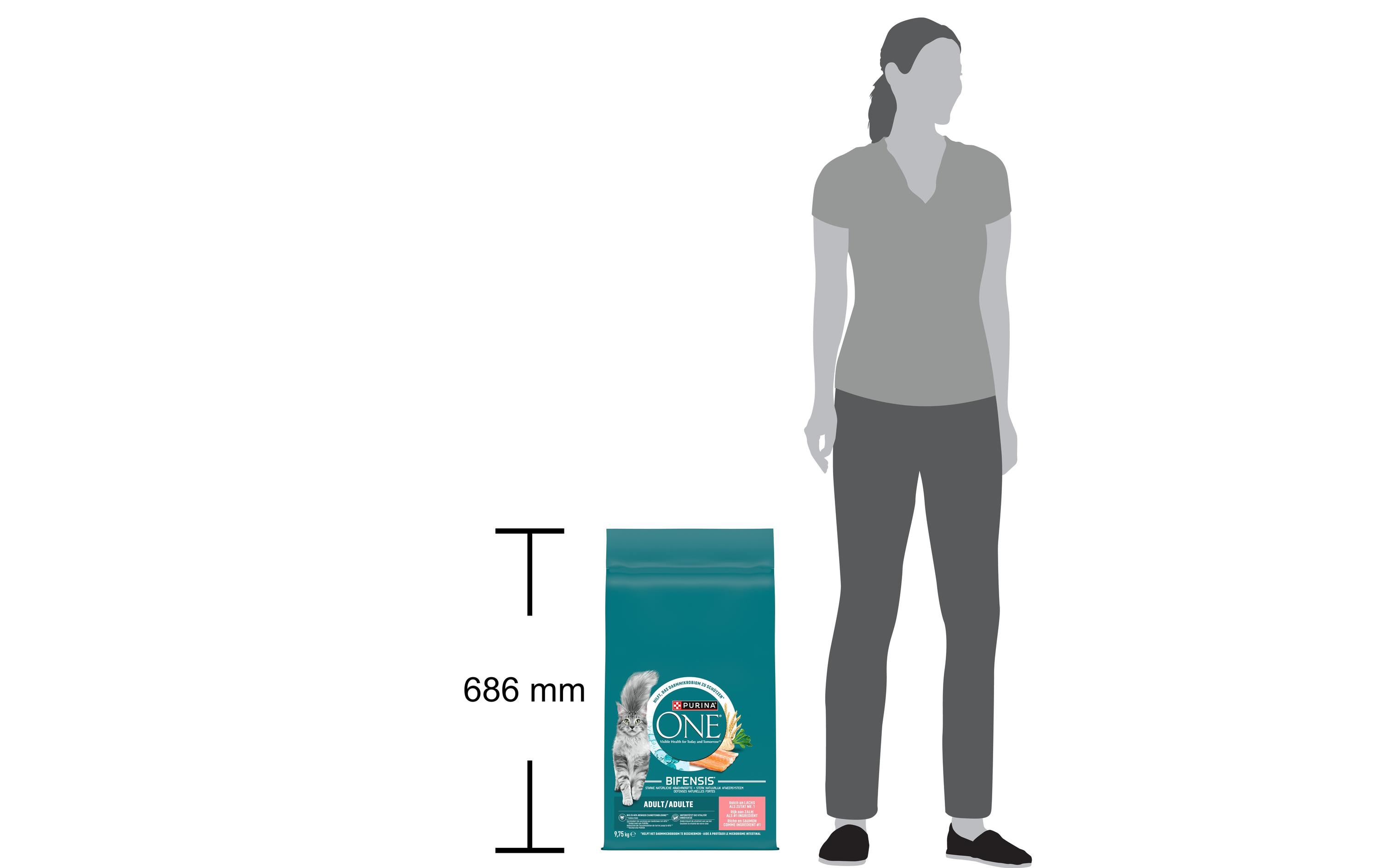 Purina ONE Trockenfutter Adult Lachs und Vollkorn 9.75 kg
