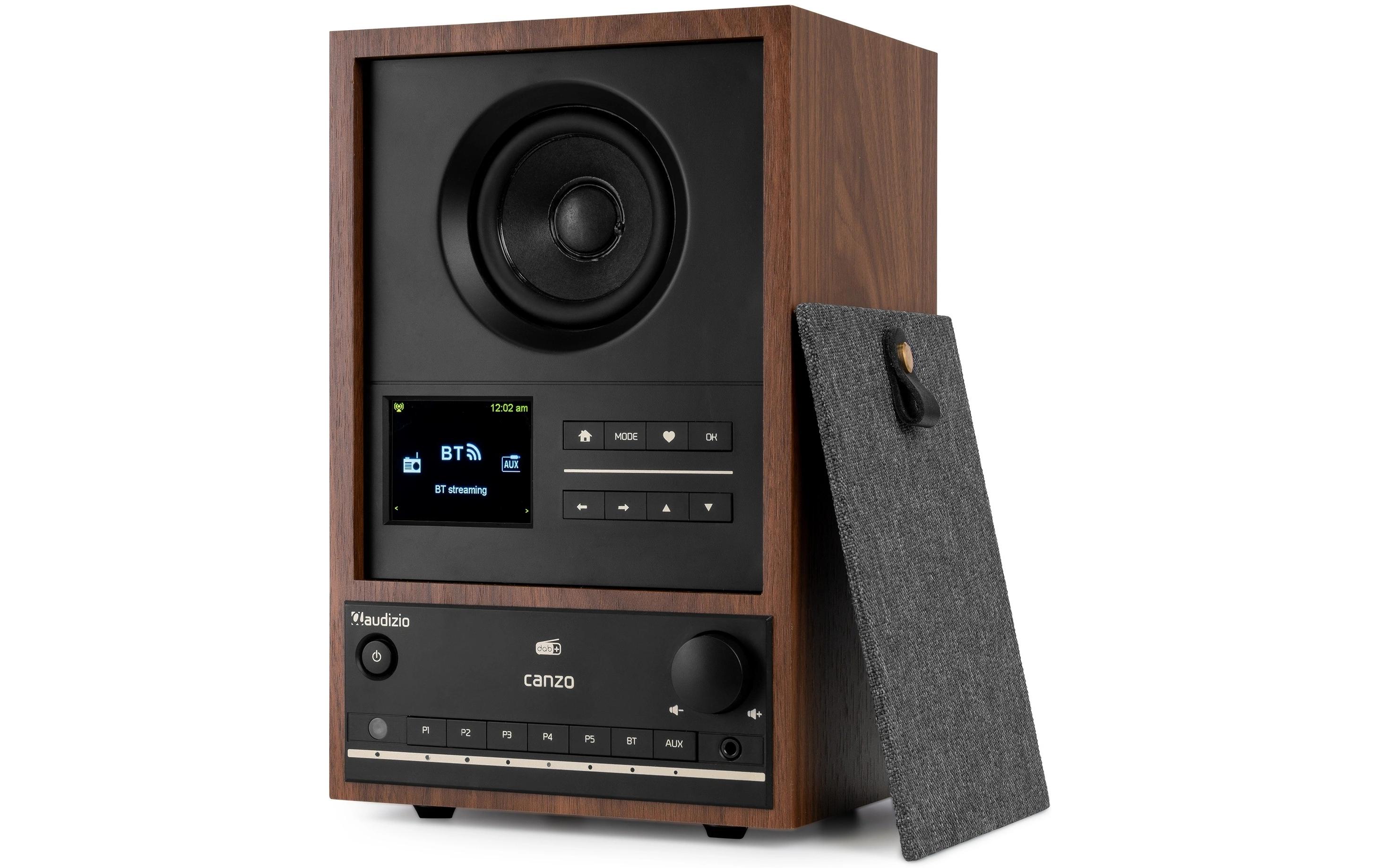 Audizio Internet Radio Canzo Dunkelbraun