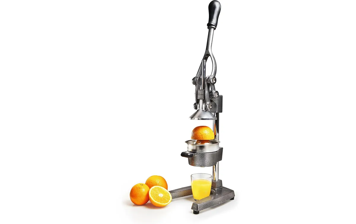 Lumaland Saftpresse Manuell Grau