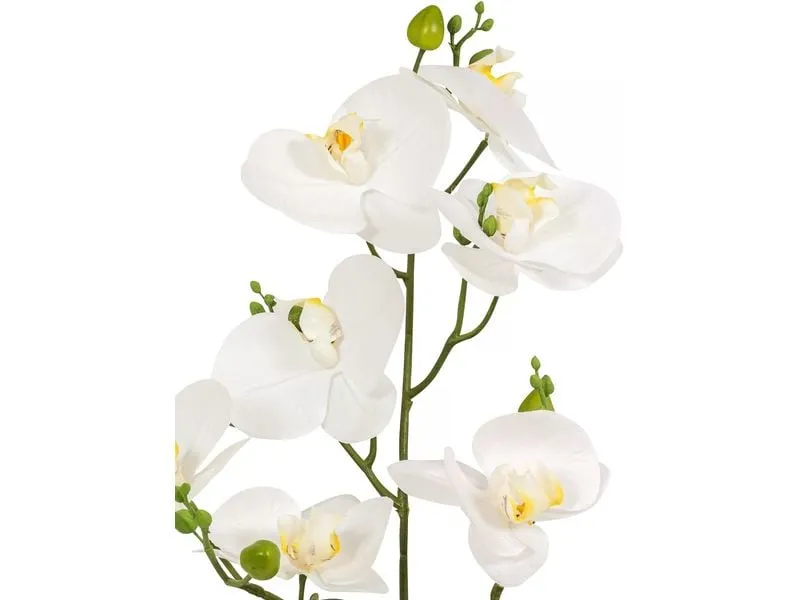 Botanic-Haus Kunstpflanze Phaleanopsis im Topf 67 cm