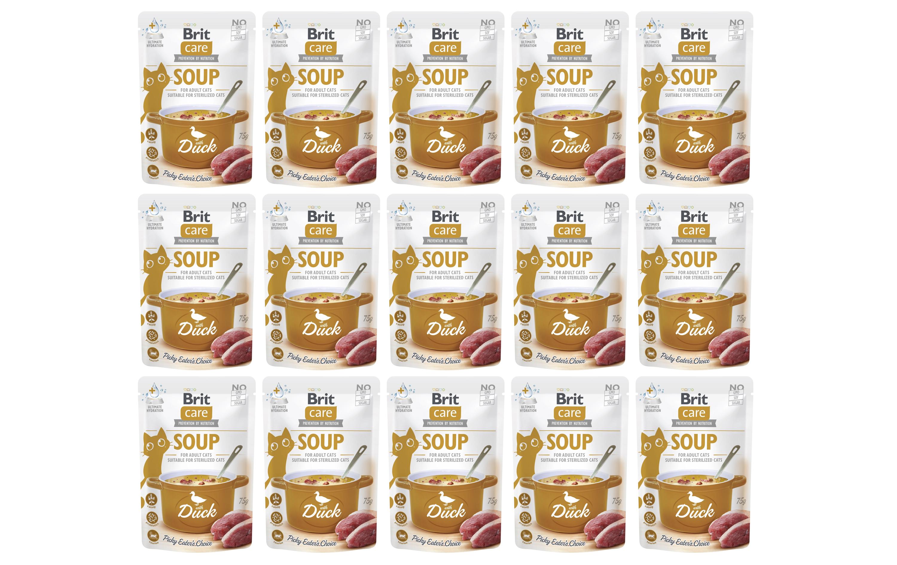 Brit Katzen-Snack Care Cat Soup with Duck 15 x 75 g