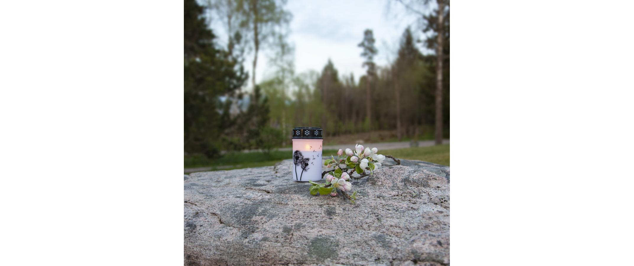 Star Trading LED Grabkerze Löwenzahn, Ø 7 x 12 cm, Weiss