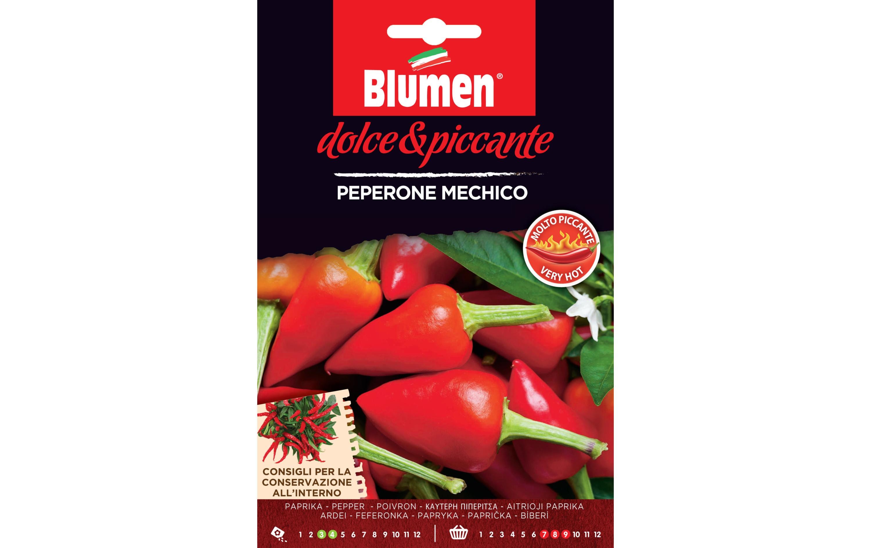 Blumen Samen Paprika Mechico