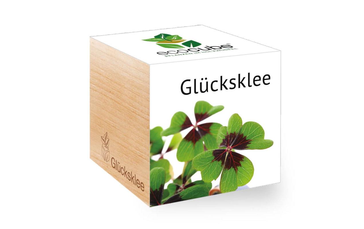 Feel Green Ecocube Glücksklee