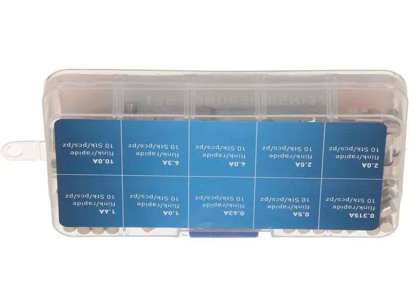 Max Hauri Schmelzsicherung Set 5 x 20 mm Flink, 100 Stück