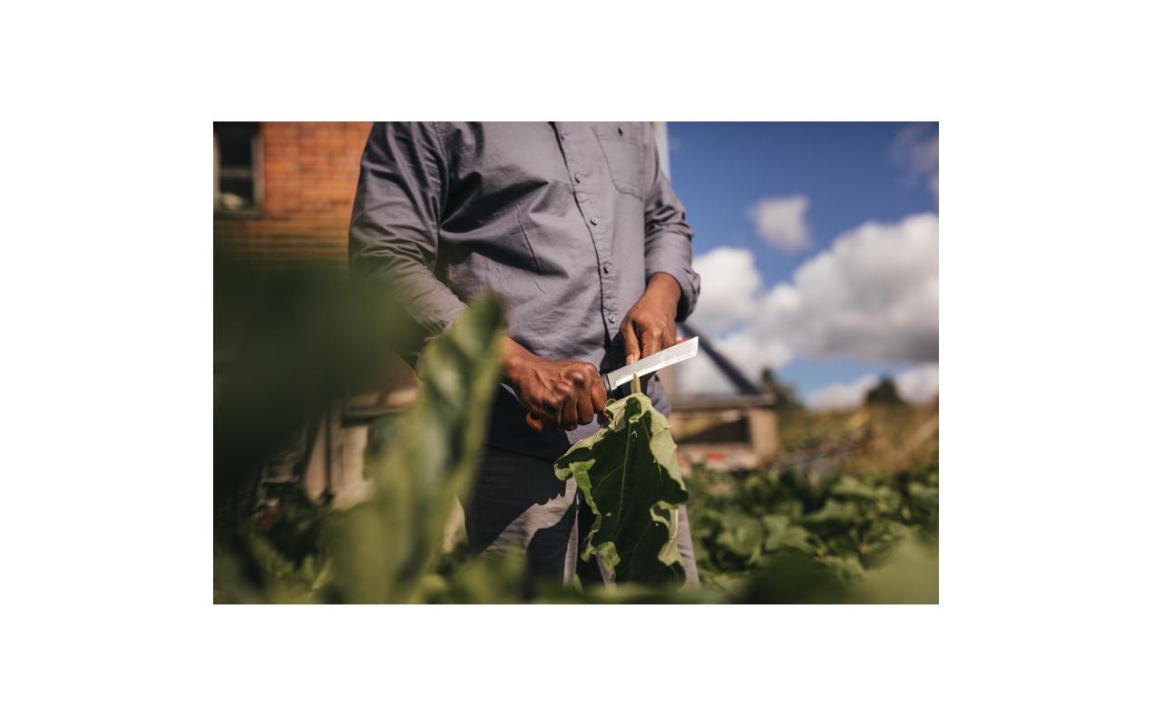 Fiskars X-Series Erntemesser K82