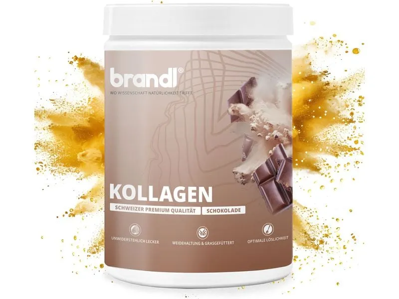 Brandl-Nutrition Pulver Kollagen Schokolade 550 g Brandl-Nutrition Pulver Kollagen Schokolade 550 g