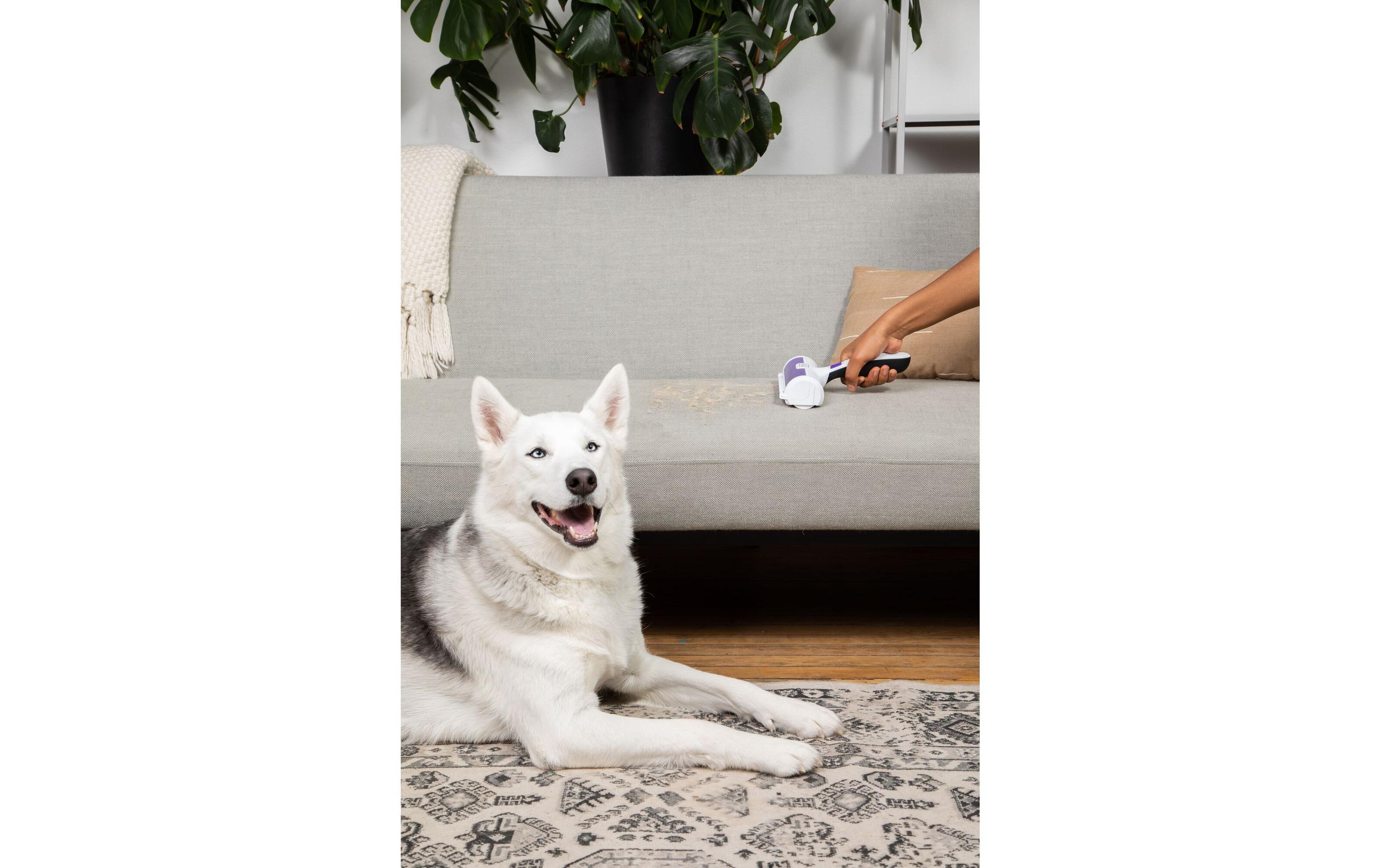 BLACK+DECKER Tierhaarentferner Weiss / Lila