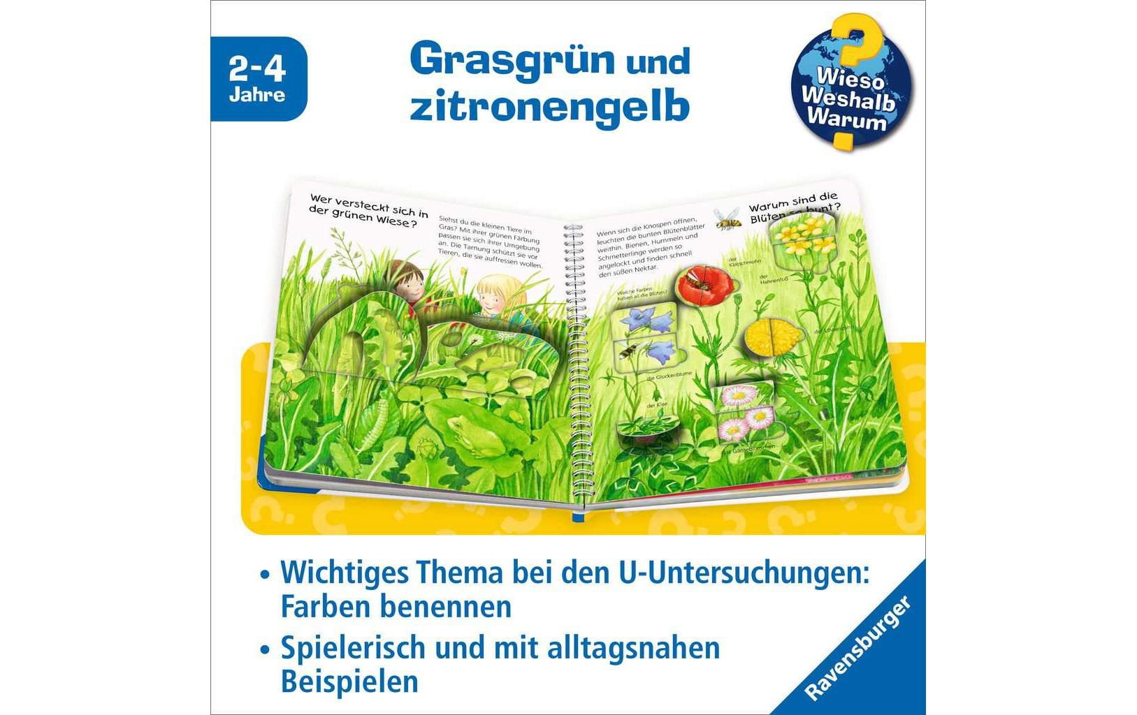 Ravensburger Kinder-Sachbuch Welche Farbe ist das?
