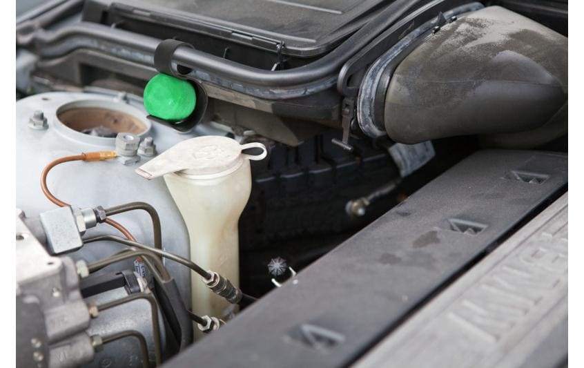 Windhager Marder-Stop Kugeln Car & Truck