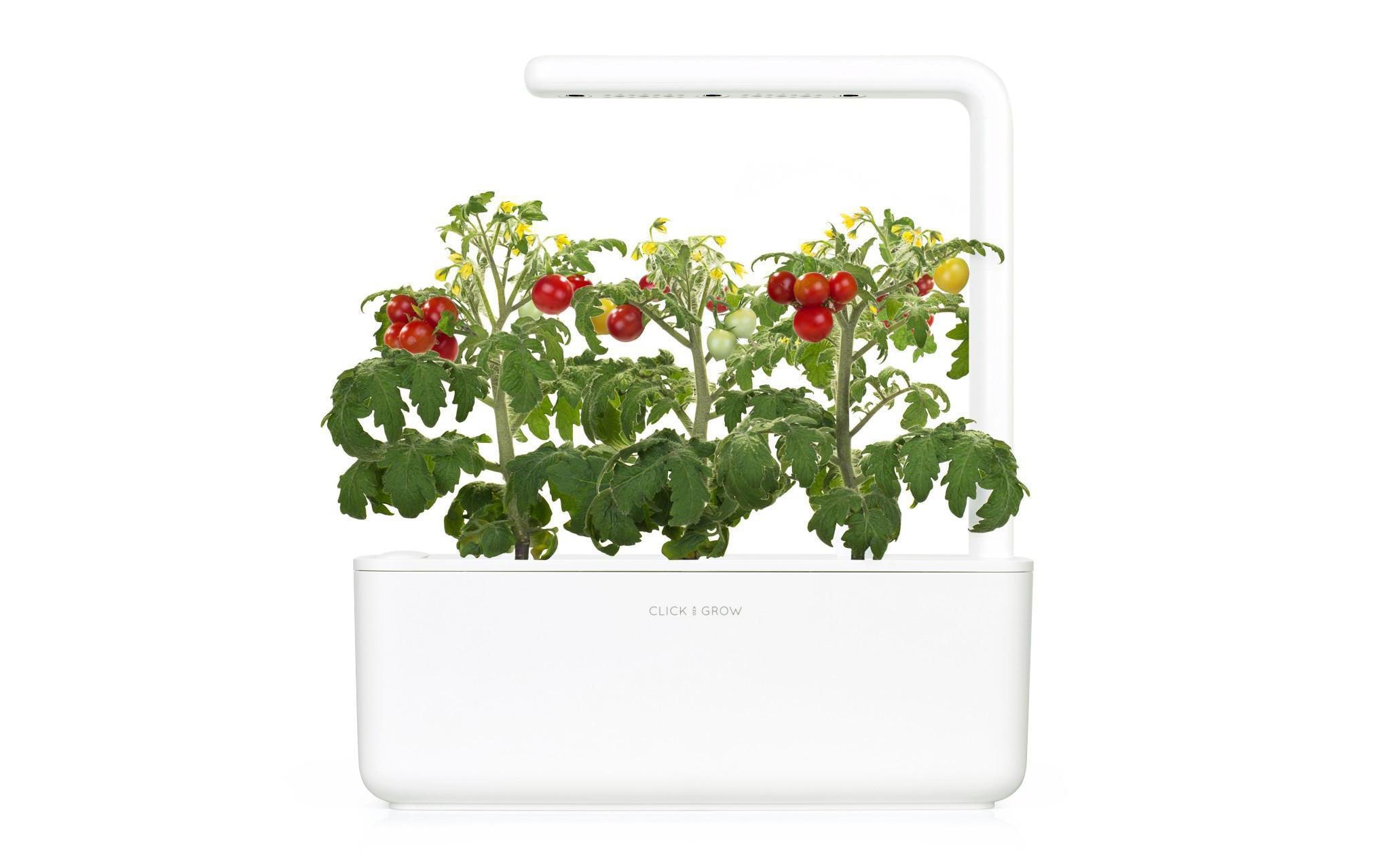 Click and Grow Kräutertopf Smart Garden 3 Weiss