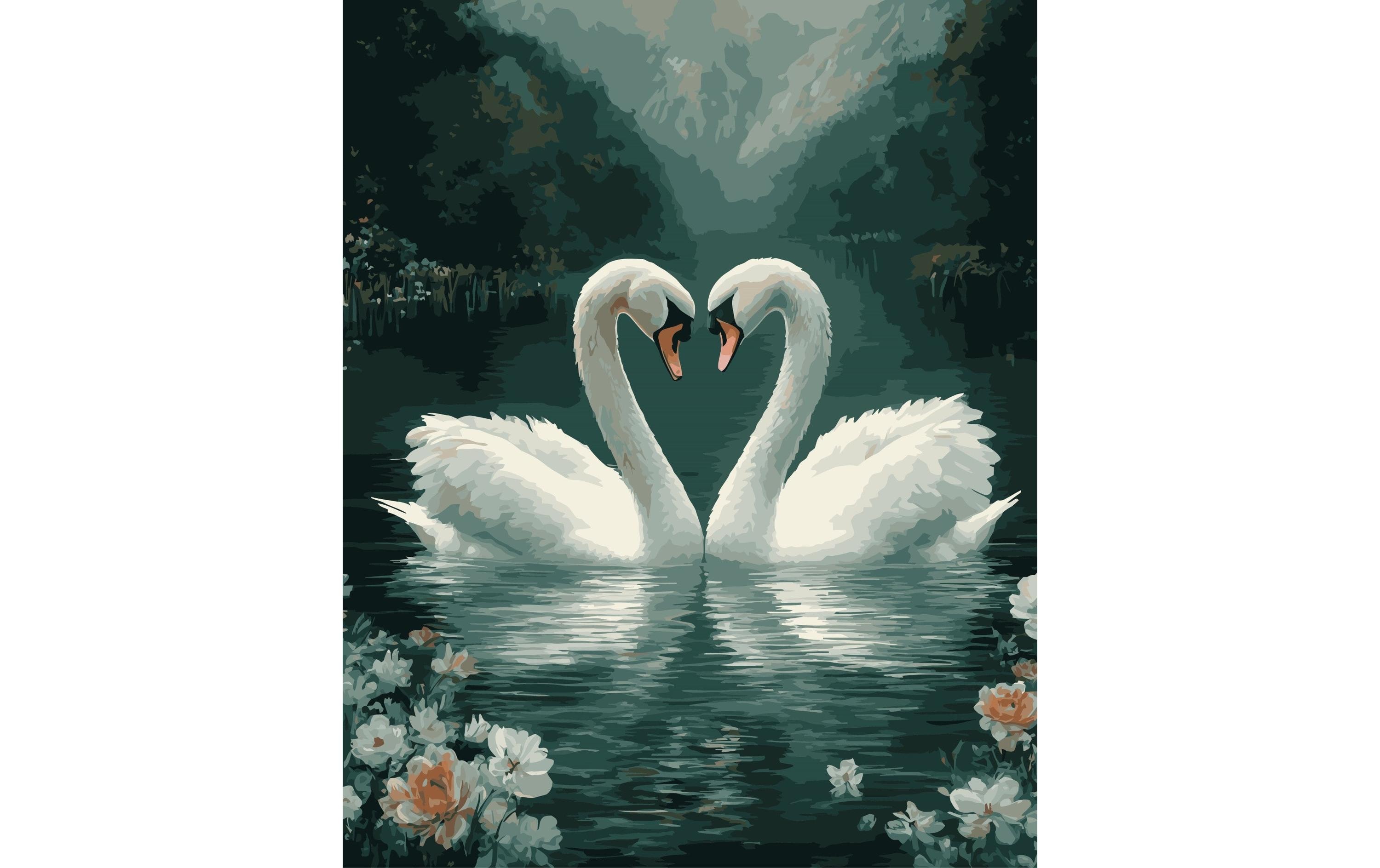 Colorelle Malen nach Zahlen Schwanenpaar verliebt auf dem See Colorelle Malen nach Zahlen Schwanenpaar verliebt auf dem See