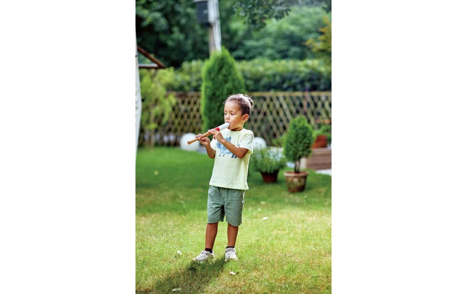 Hape Musikspielzeug Musician's Starter Recorder Hape Musikspielzeug Musician's Starter Recorder