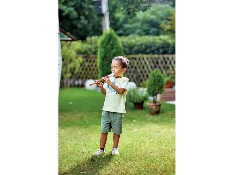 Hape Musikspielzeug Musician's Starter Recorder