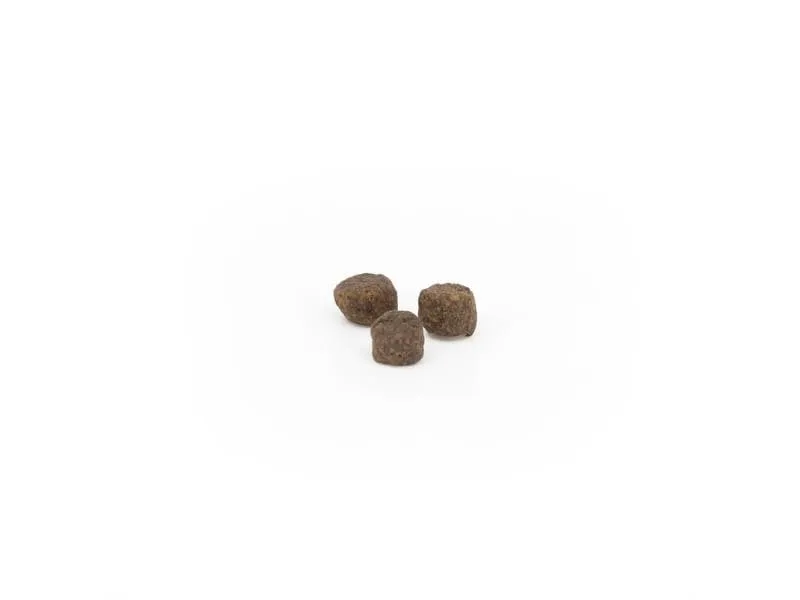 AMBA by kyli Trockenfutter Enjoy, 2 kg AMBA by kyli Trockenfutter Enjoy, 2 kg
