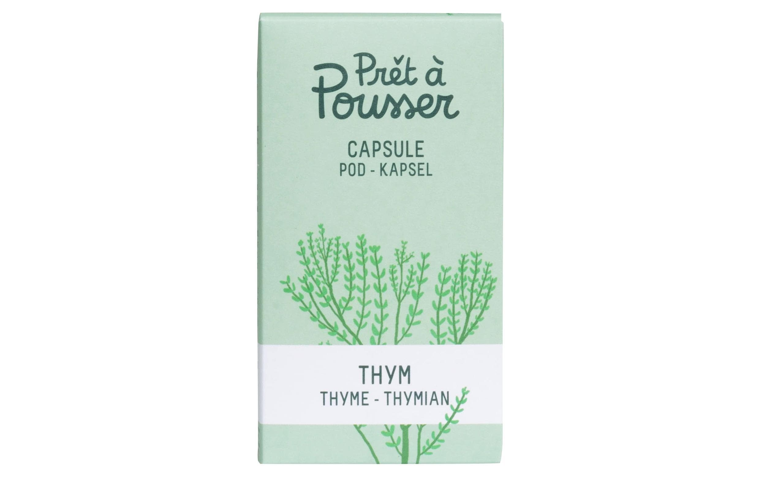 Prêt à Pousser Samen Thymian Prêt à Pousser Samen Thymian