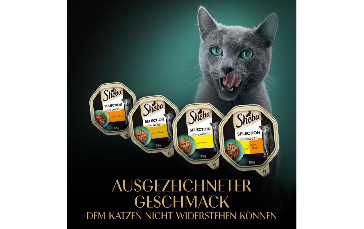 Sheba Nassfutter Selection Mini Filets Sauce Geflügel, 8 x 85g