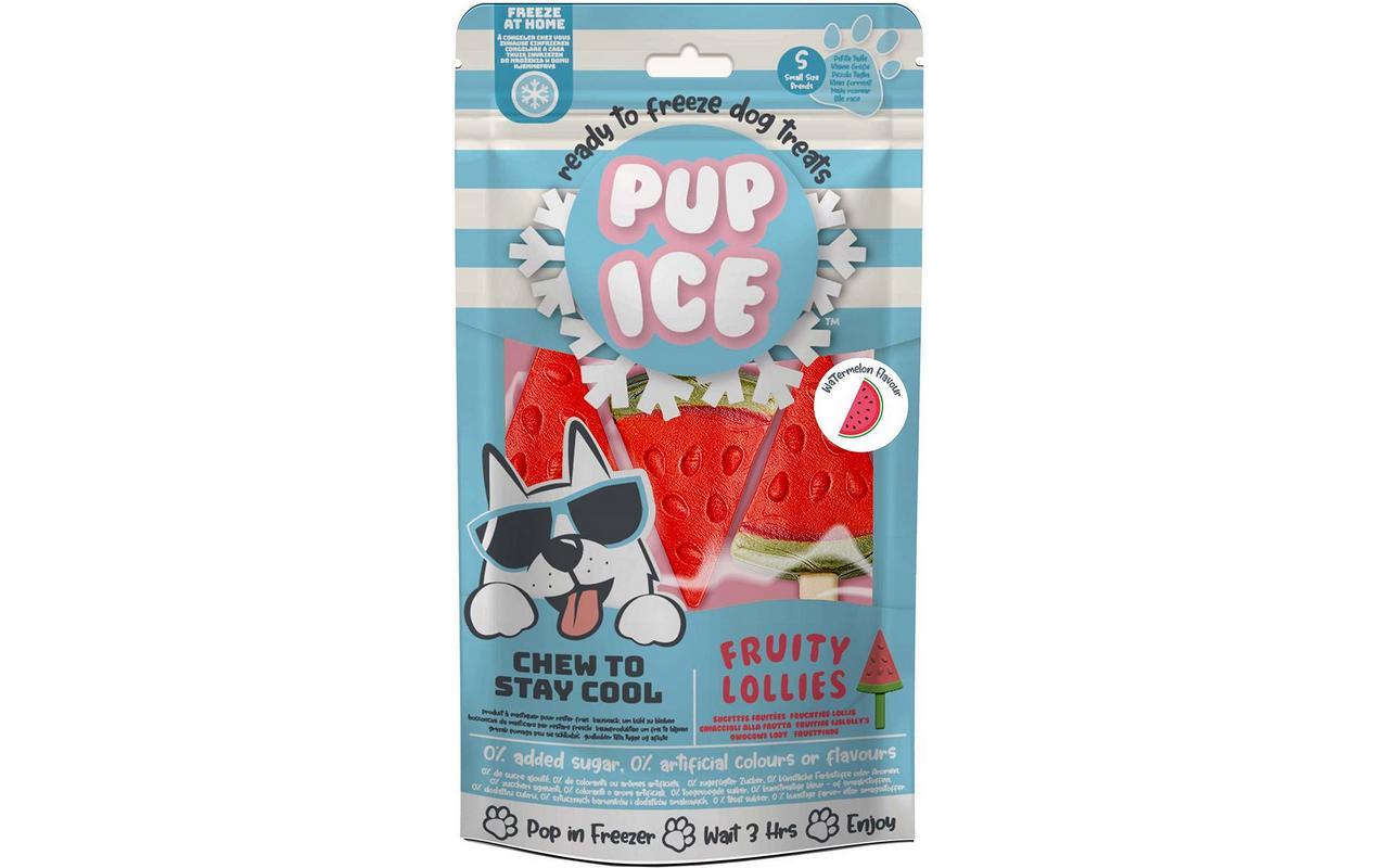 PUP ICE Leckerli Fruity Lollies Melone, 3 Stück, 90g