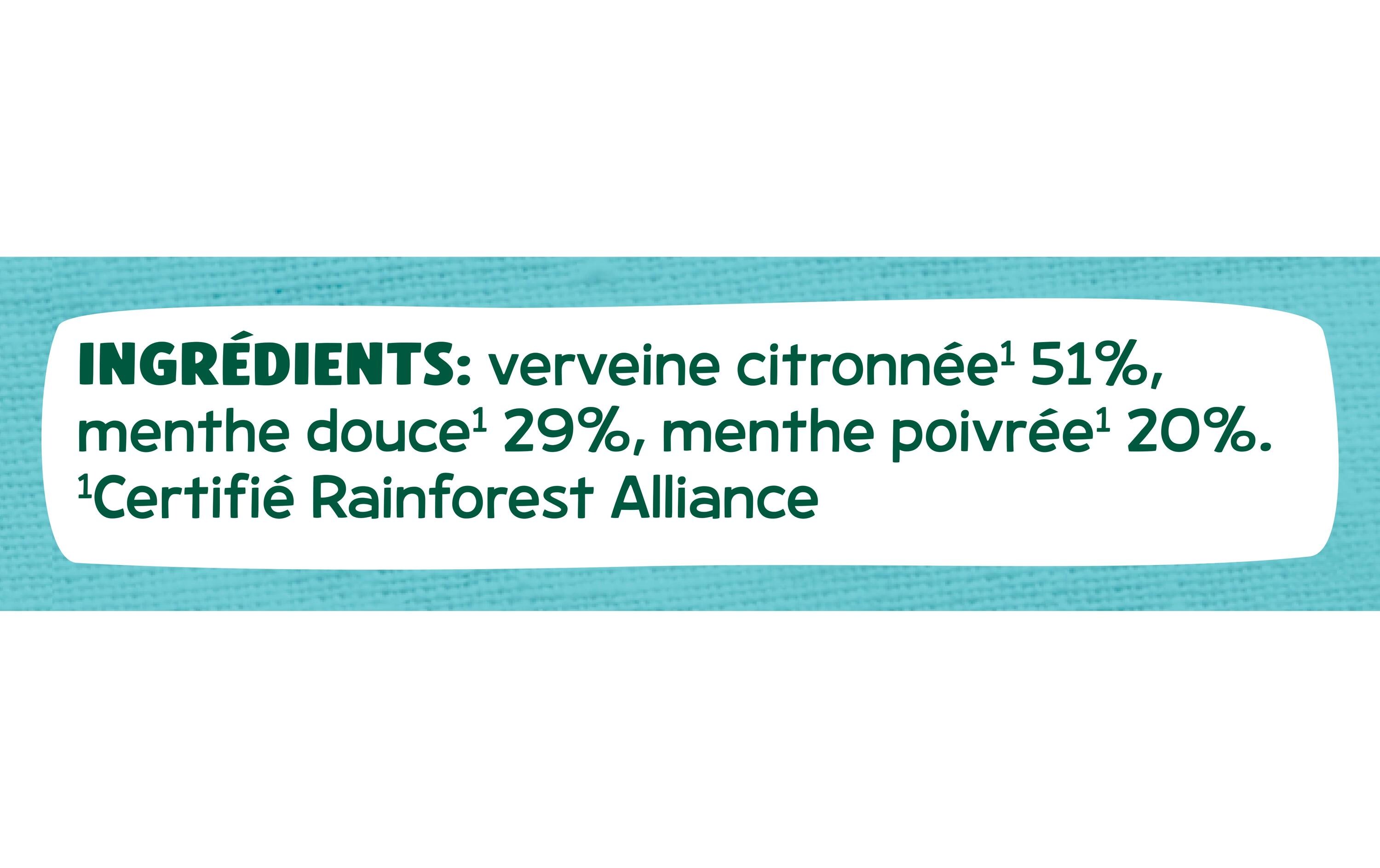 Eléphant Teebeutel Menthe Poivrée, Mente Douce, Verveine 20 Stück