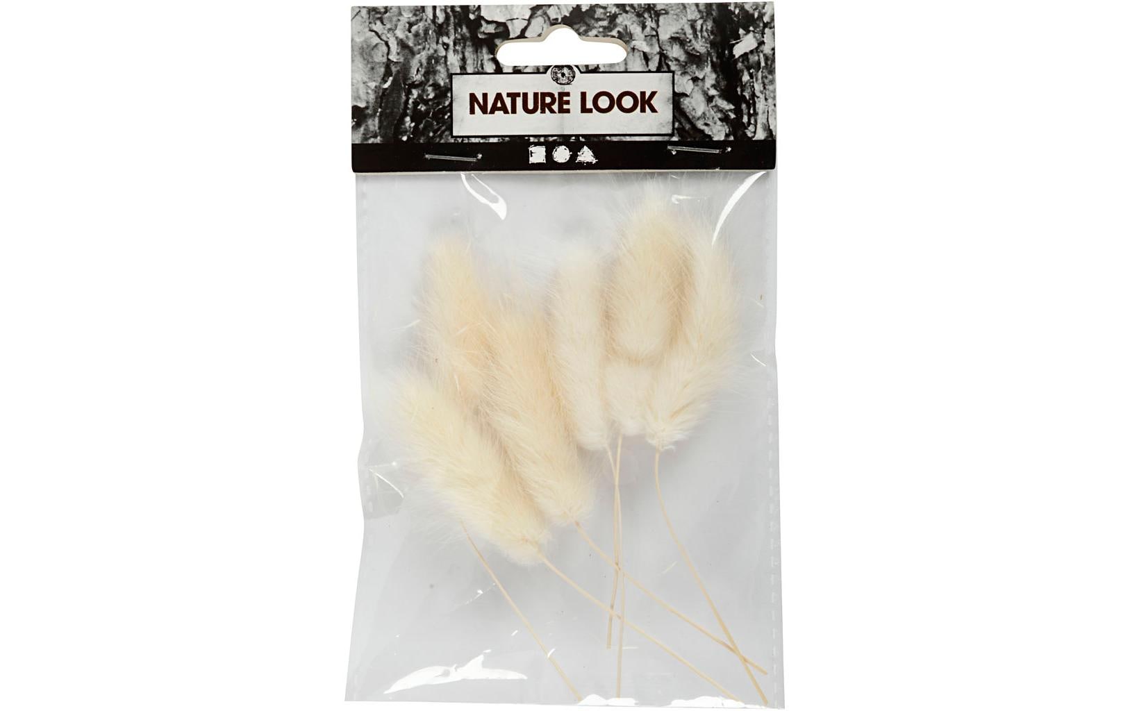 Creativ Company Trockenblumen Federgras 3-7 cm, 6 Stück Creativ Company Trockenblumen Federgras 3-7 cm, 6 Stück